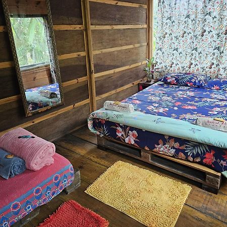 Eco Hostel Organic Life 特林达德 外观 照片