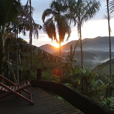 Eco Hostel Organic Life 特林达德 外观 照片