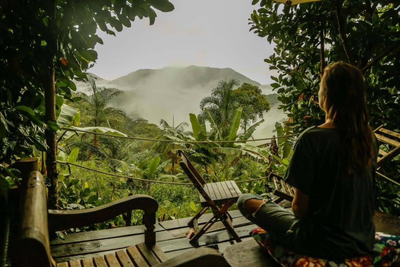 Eco Hostel Organic Life 特林达德 外观 照片