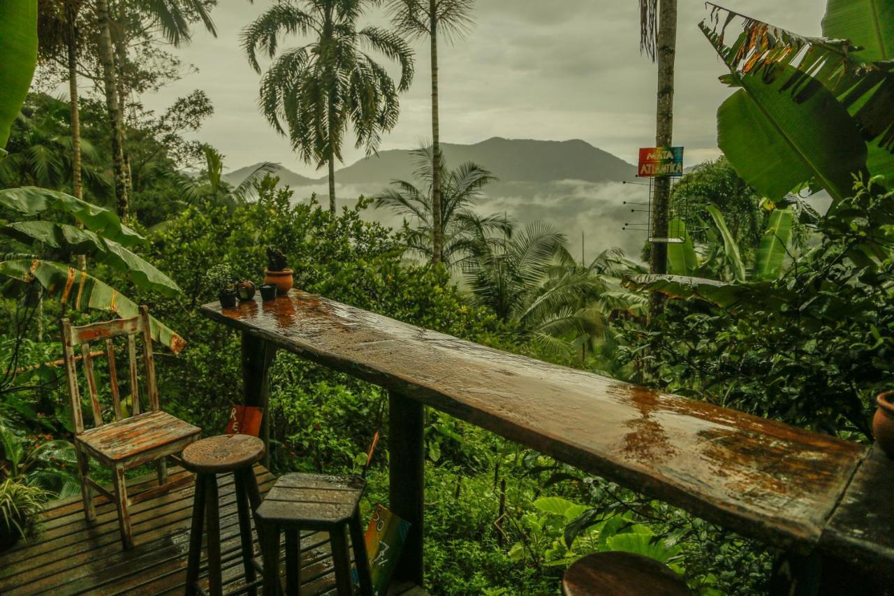 Eco Hostel Organic Life 特林达德 外观 照片