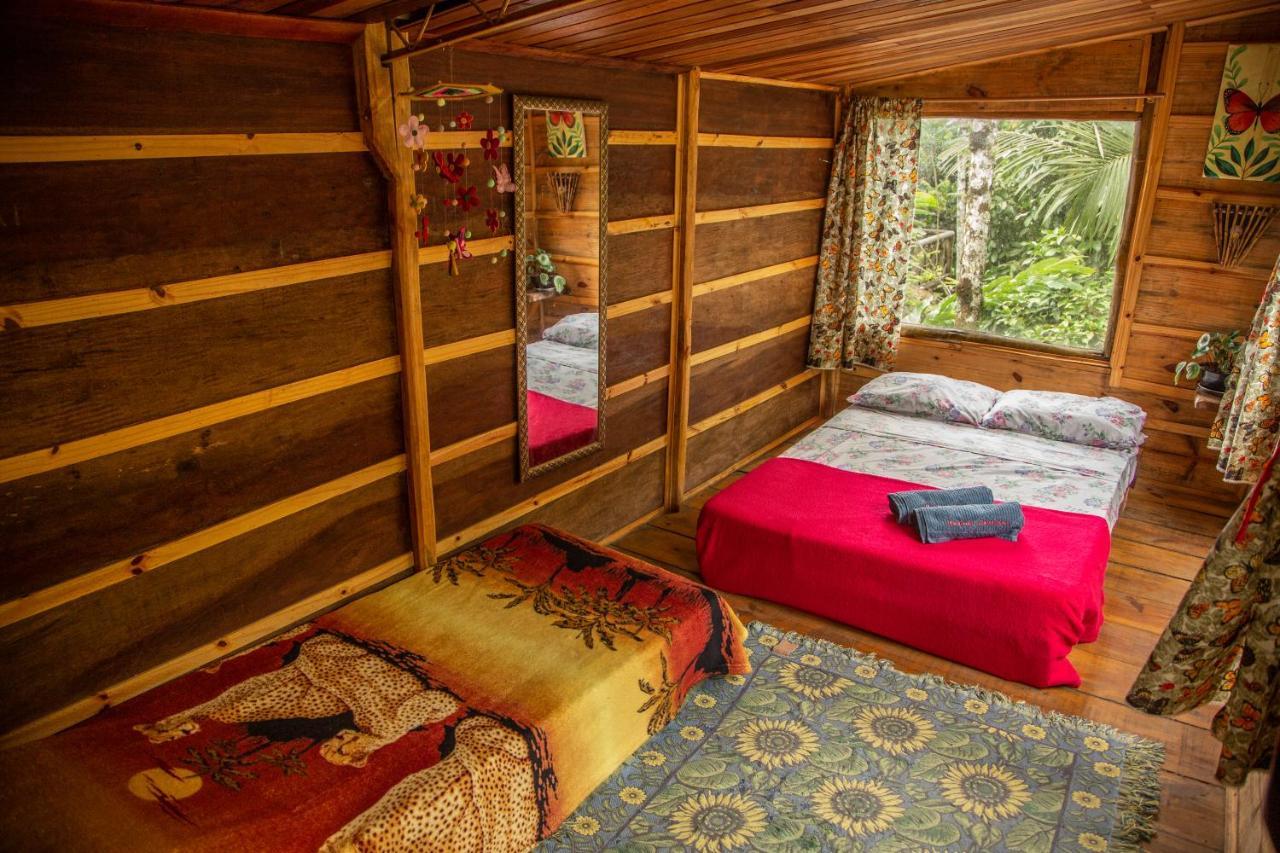 Eco Hostel Organic Life 特林达德 外观 照片