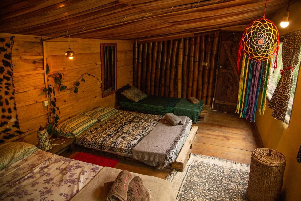 Eco Hostel Organic Life 特林达德 外观 照片