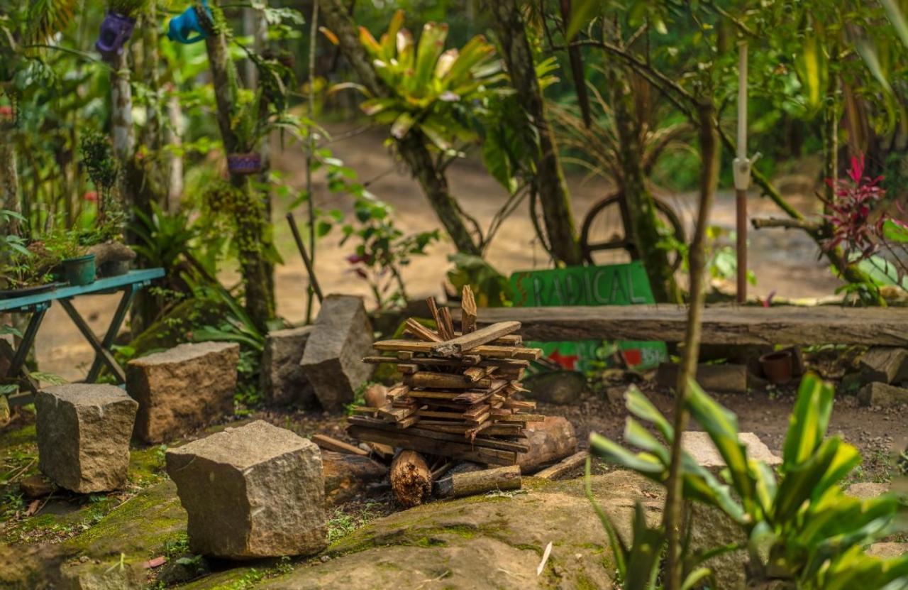 Eco Hostel Organic Life 特林达德 外观 照片