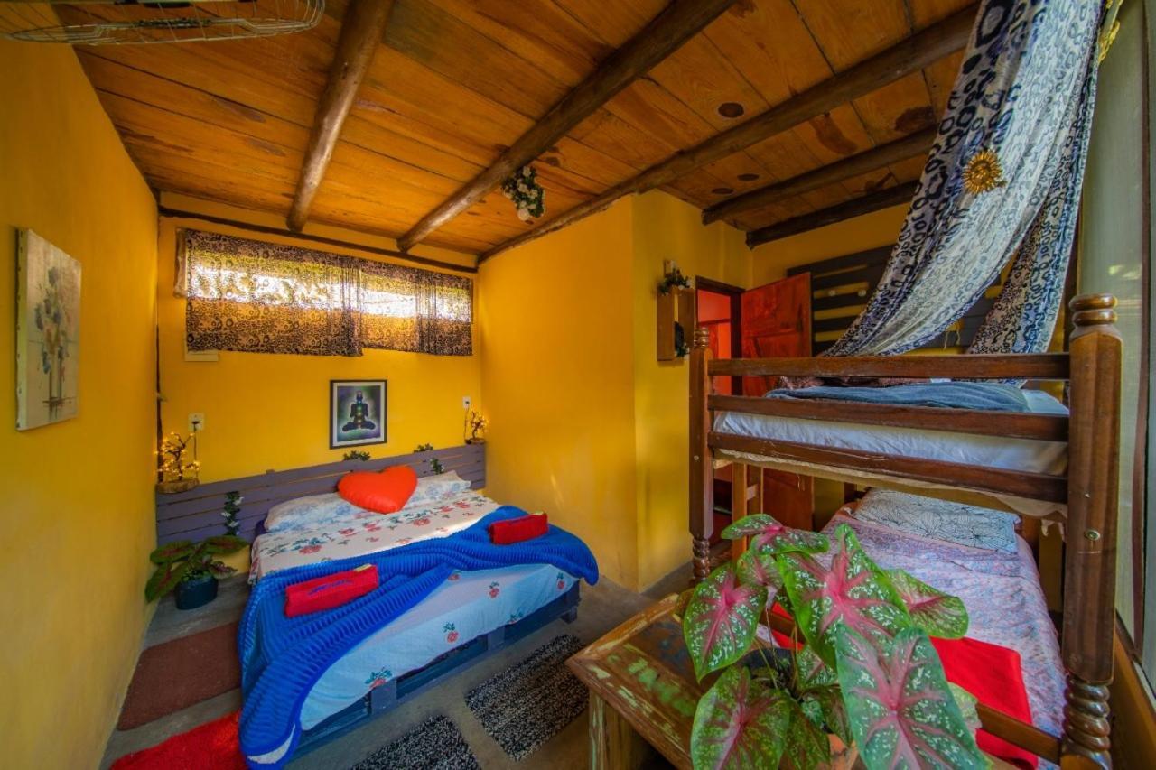 Eco Hostel Organic Life 特林达德 外观 照片