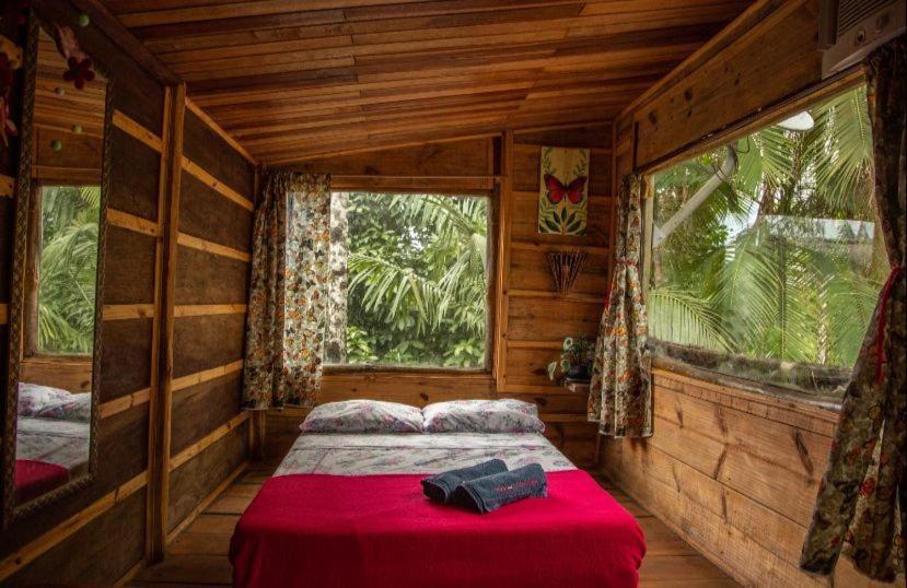 Eco Hostel Organic Life 特林达德 外观 照片