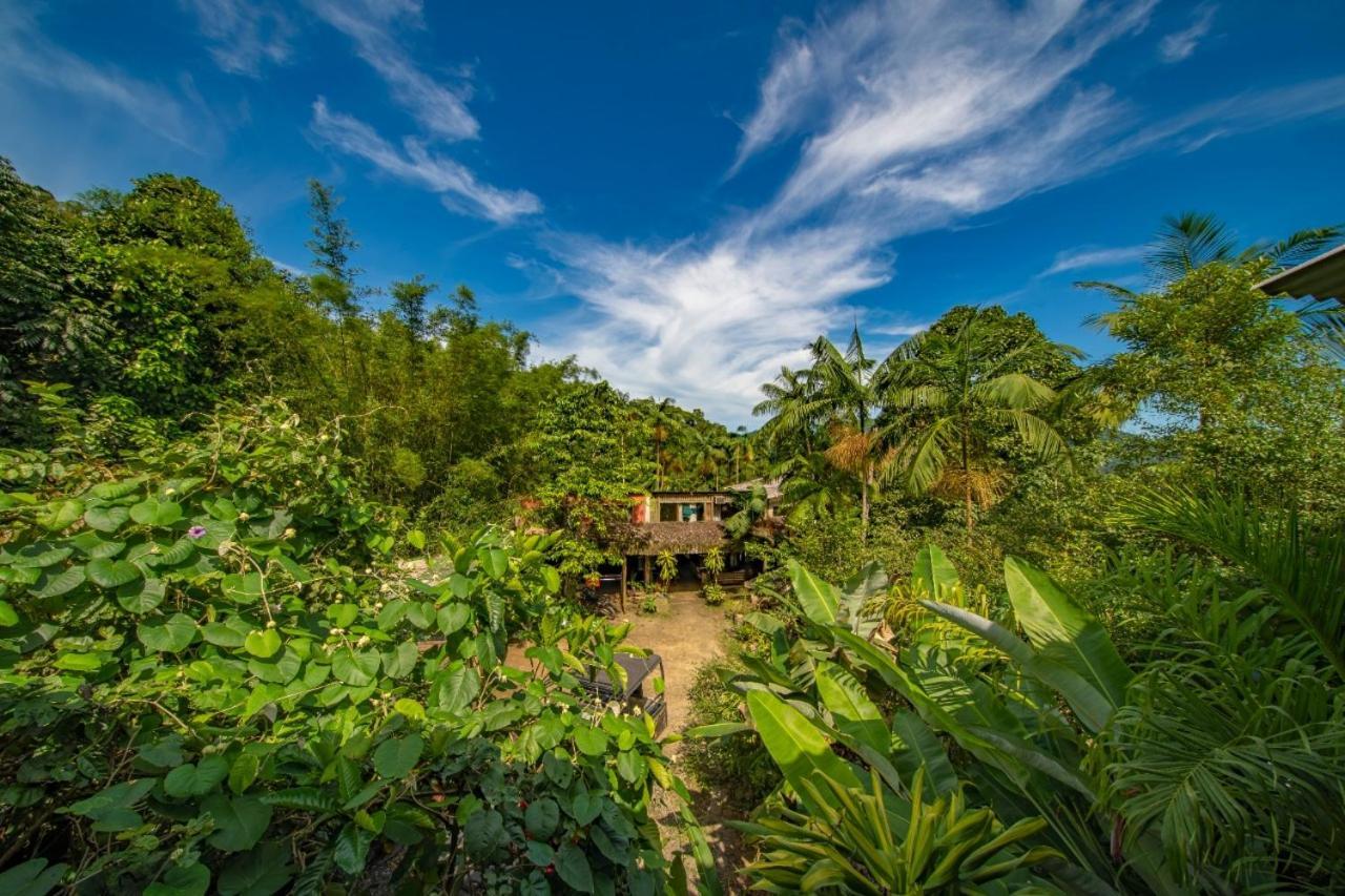 Eco Hostel Organic Life 特林达德 外观 照片
