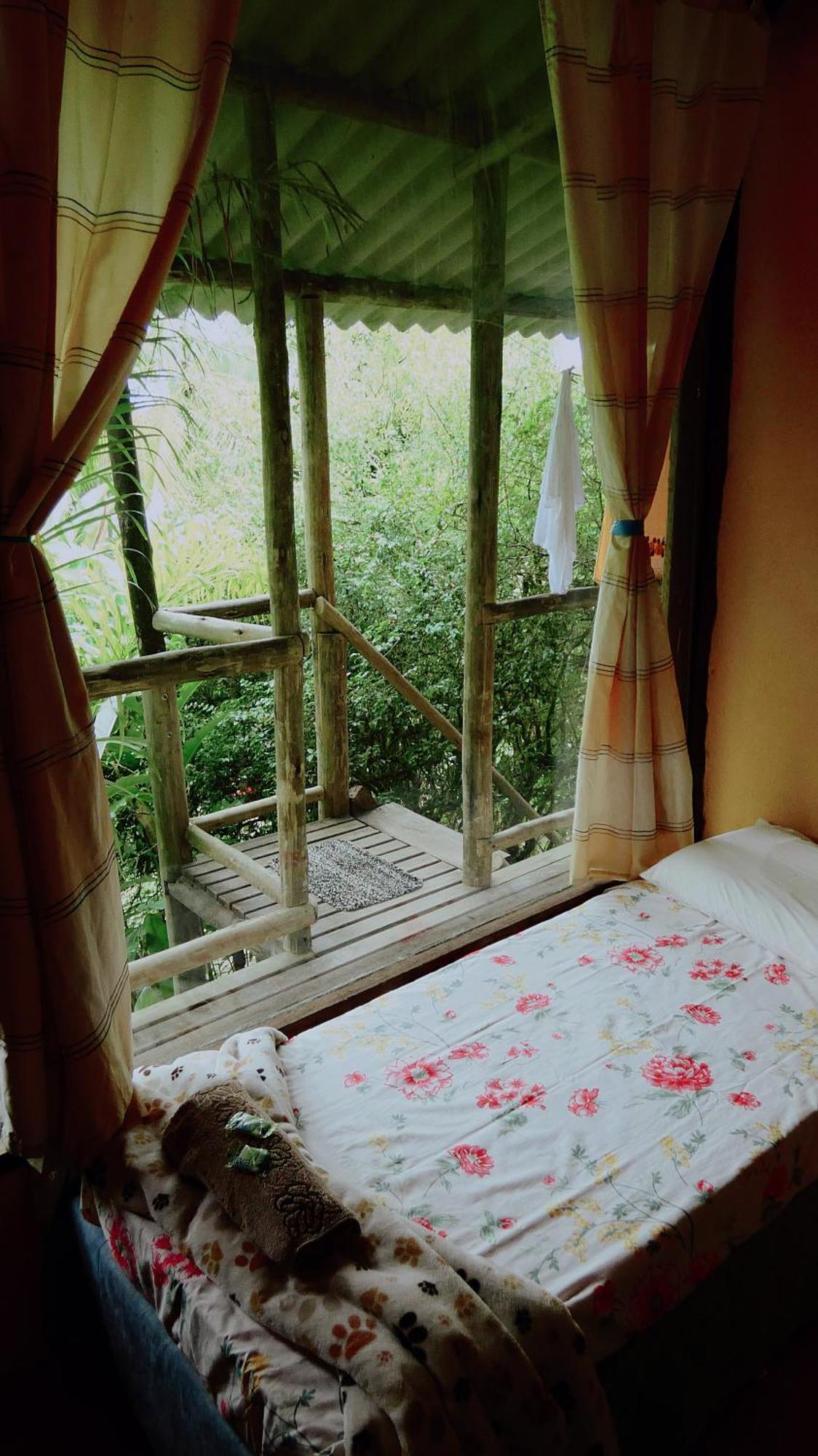 Eco Hostel Organic Life 特林达德 外观 照片
