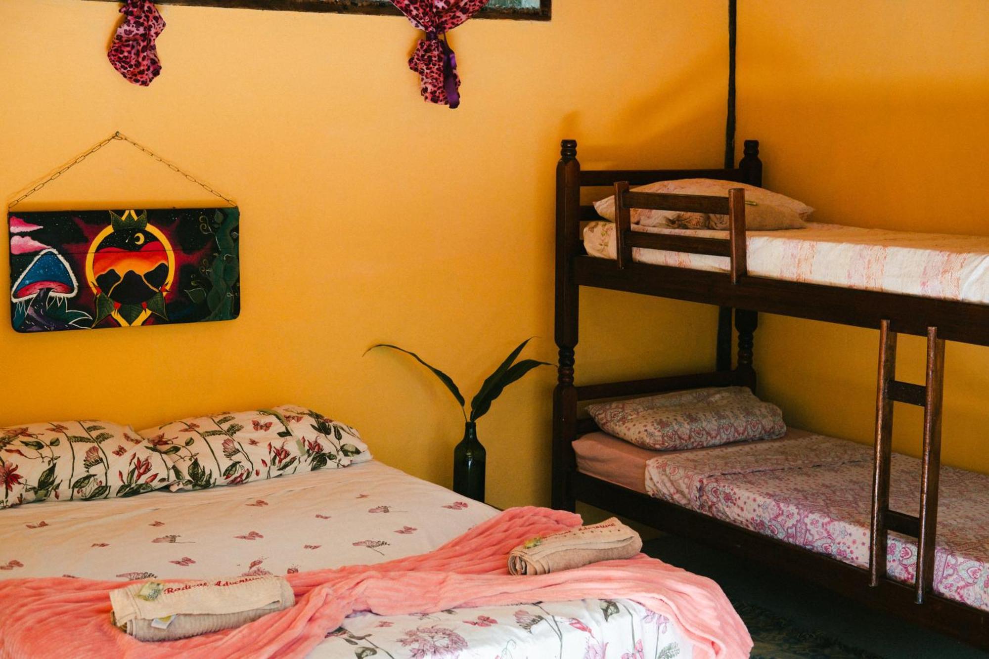 Eco Hostel Organic Life 特林达德 外观 照片