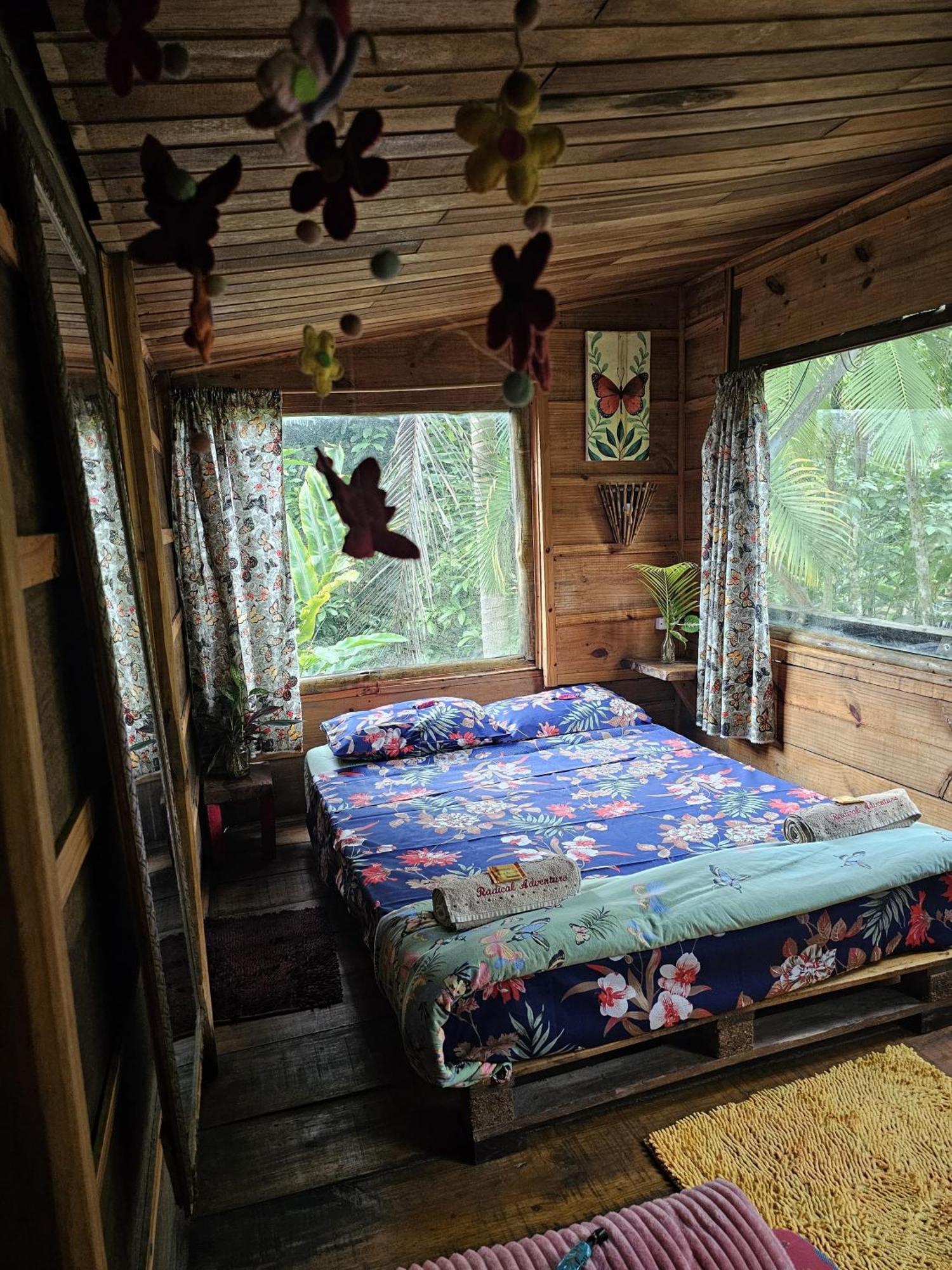 Eco Hostel Organic Life 特林达德 外观 照片