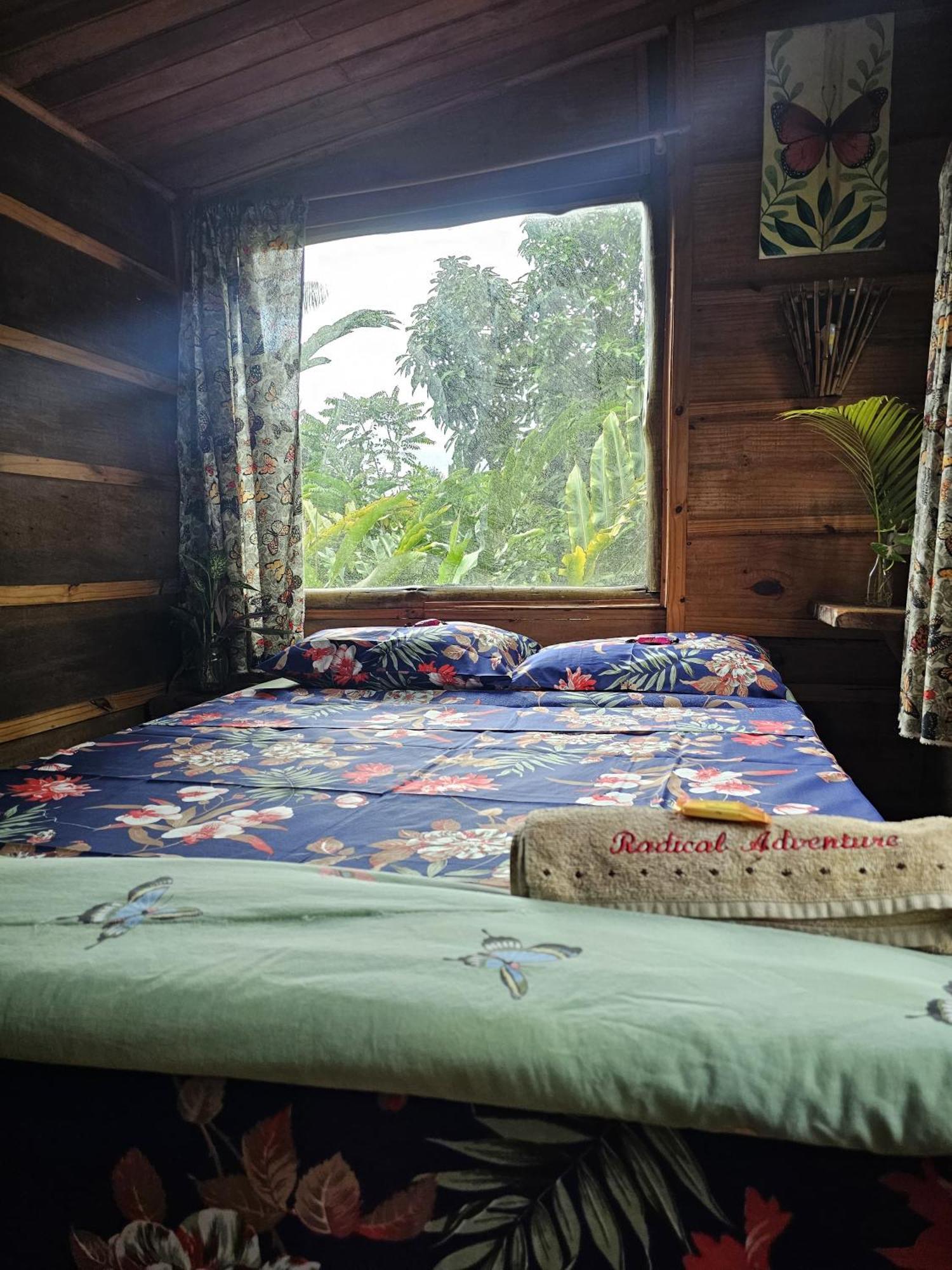 Eco Hostel Organic Life 特林达德 外观 照片